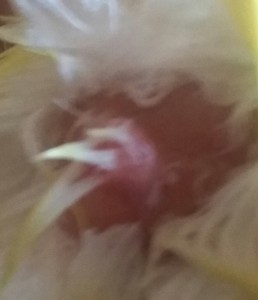 20170129_163953-1.jpg