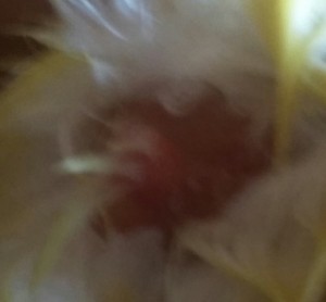 20170129_163950-1.jpg