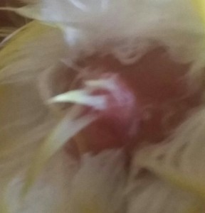 20170129_163953-2-1.jpg
