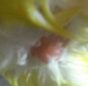 20170129_163941-1-1.jpg