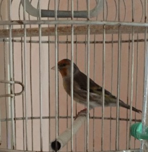 IMG_8932.JPG