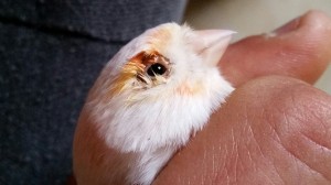 2017-02-14 00.31.44.jpg