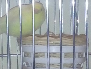 20170408_230059-1.jpg