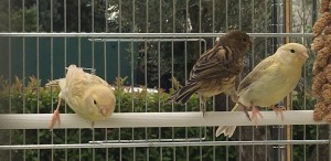 IMG_3989.JPG