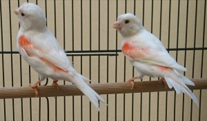 Mamma e figlia accanto, la novella ha le timoniere nuove!