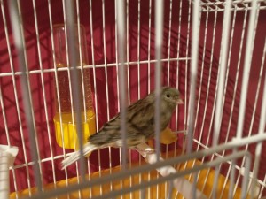IMG-20171019-WA0009.jpg