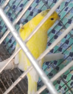 IMG_20171023_152711.jpg