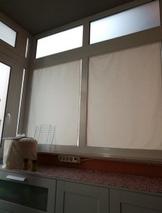 IMG-20171211-WA0009.jpg