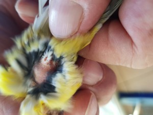20180112_160513.jpg