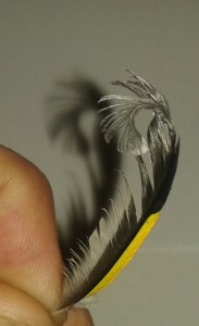 20180120_132812-1.jpg