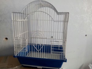 IMG-20180305-WA0014.jpg