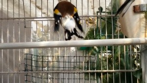 20180320_135930.jpg