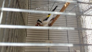 20180321_125330.jpg