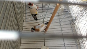 20180321_125315.jpg