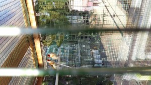 20180321_170819.jpg