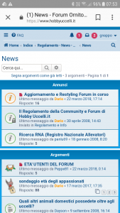 Ecco lo vedo così