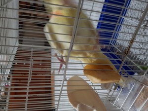 20180408_230258.jpg