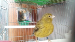 IMG-20180411-WA0000.jpg