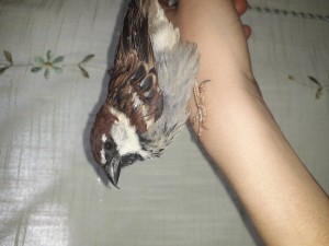 20180416_190332.jpg
