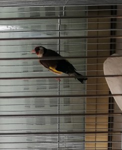 IMG_20180421_163808.jpg