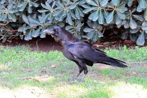 IMG_1421.JPG
