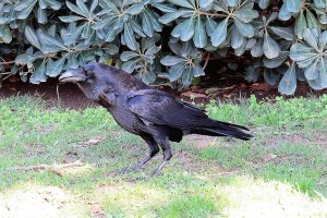 IMG_1422.JPG