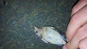 20180510_140406.jpg
