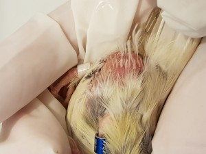 20180513_155744.jpg