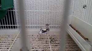 20180518_182055.jpg