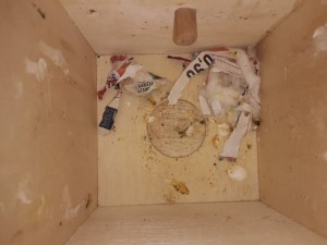 Scusate non posso farci nulla la casseta l' ho comprata la scorsa settimana, è sporca