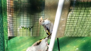20180610_095354.jpg