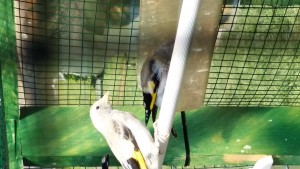 20180610_095348.jpg