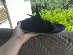 IMG_20180706_102132.jpg