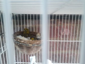 20180729_144920.jpg