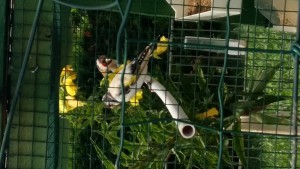 20180814_123516.jpg