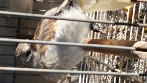 20180815_082620.jpg