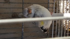 20180815_082657.jpg