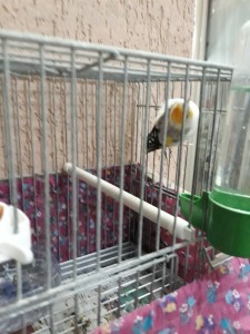 foto3