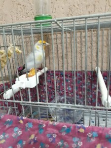 foto5