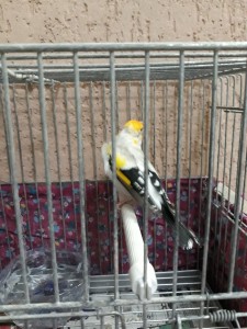 foto8