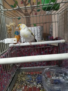foto9