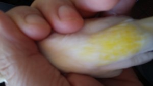 20181115_084729.jpg
