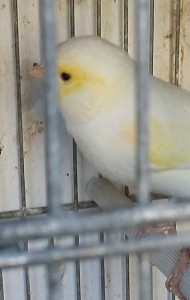 20181115_084501-1.jpg