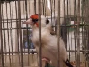 20181116_185421.jpg