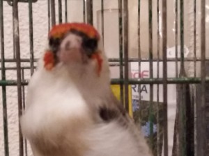 20181116_185357.jpg
