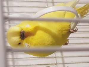 20181121_183147.jpg