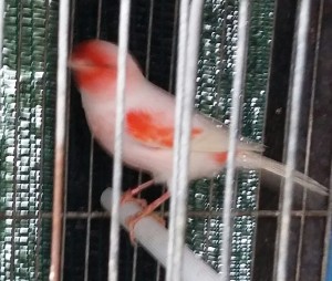 20181201_123234-1.jpg