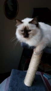 IMG_20170403_072146.jpg