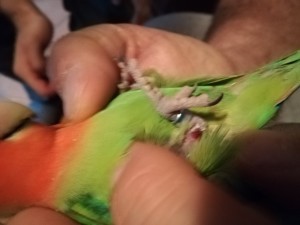 IMG_20190103_130115.jpg