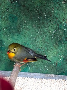 PHOTO-2018-11-25-11-28-57 (1).jpg